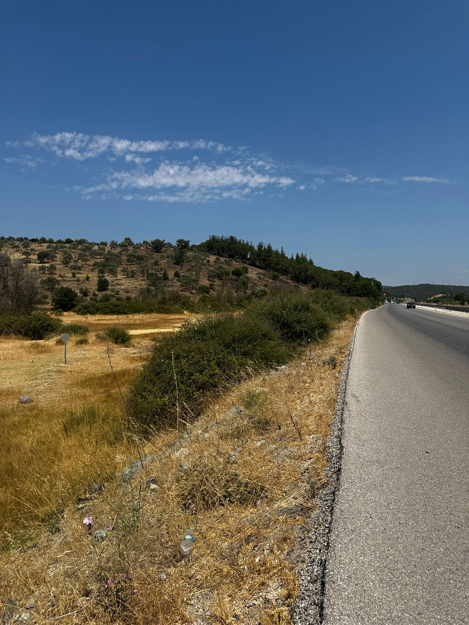 Ezine'de Yola Cepheli 8702m² Yatırımlık Arsa